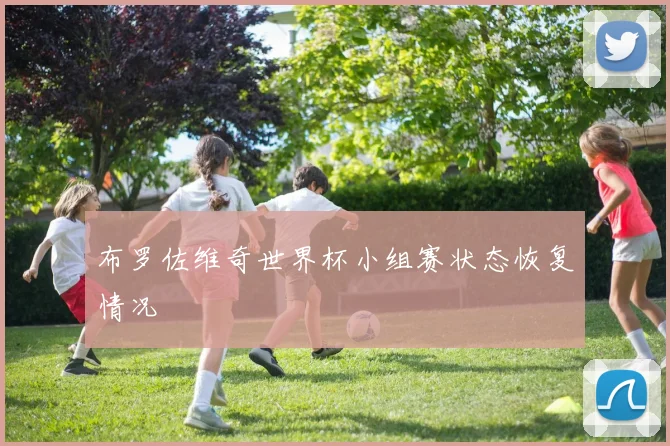 布罗佐维奇世界杯小组赛状态恢复情况