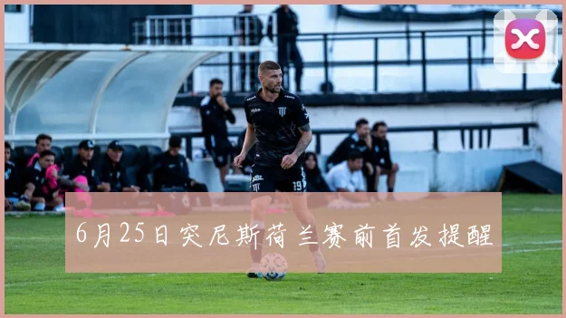 6月25日突尼斯荷兰赛前首发提醒
