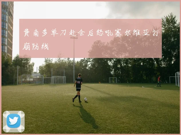 费南多单刀赴会后怒吼塞尔维亚打崩防线
