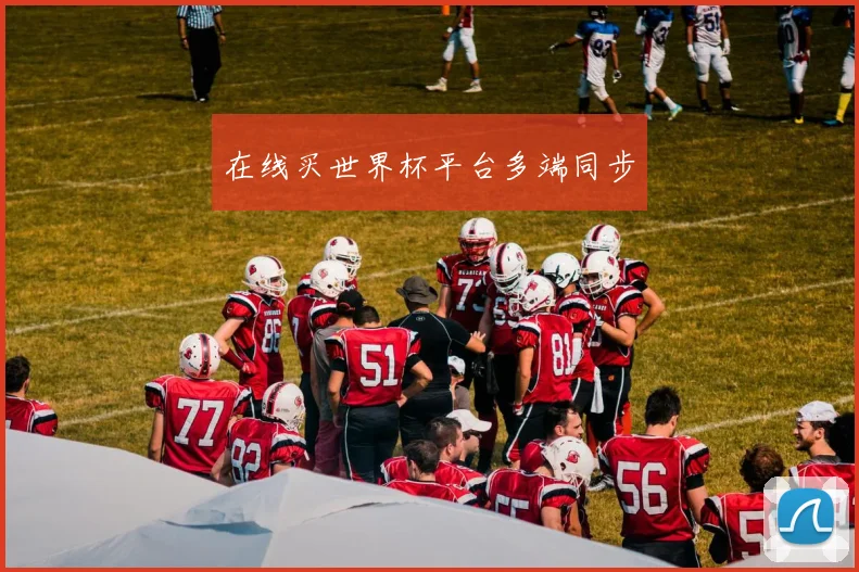 在线买世界杯平台多端同步