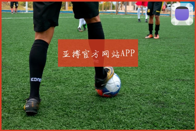 亚搏官方网站APP