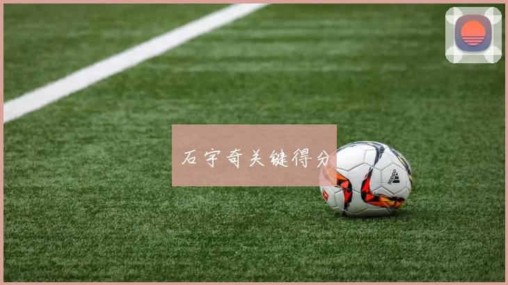 石宇奇关键得分
