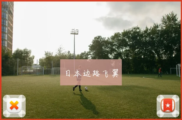 日本边路飞翼