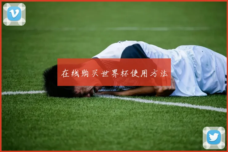 在线购买世界杯使用方法