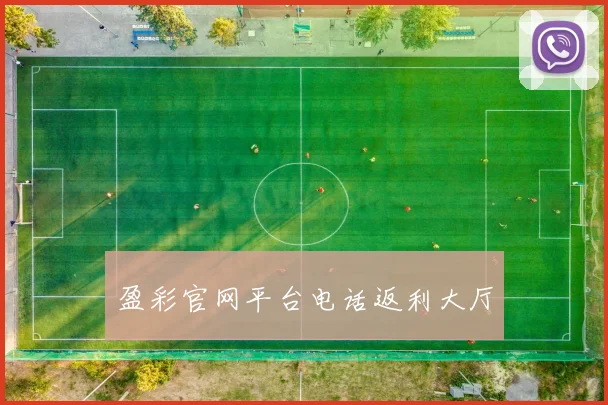 盈彩官网平台电话返利大厅