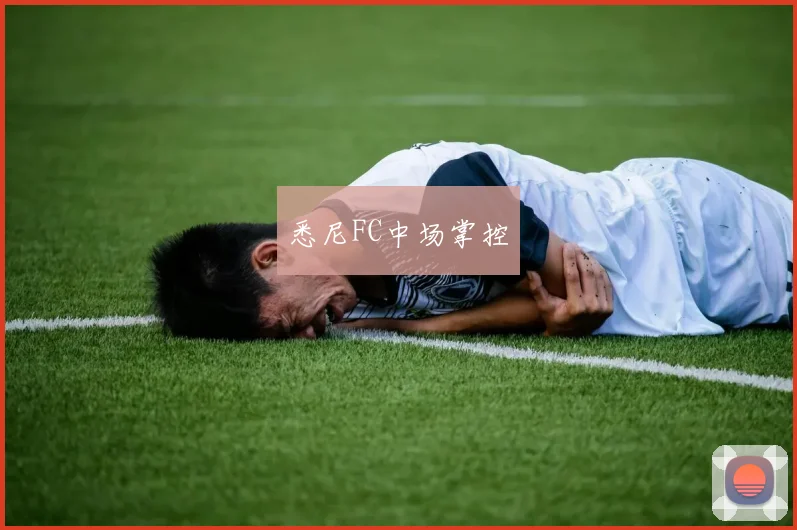 悉尼FC中场掌控