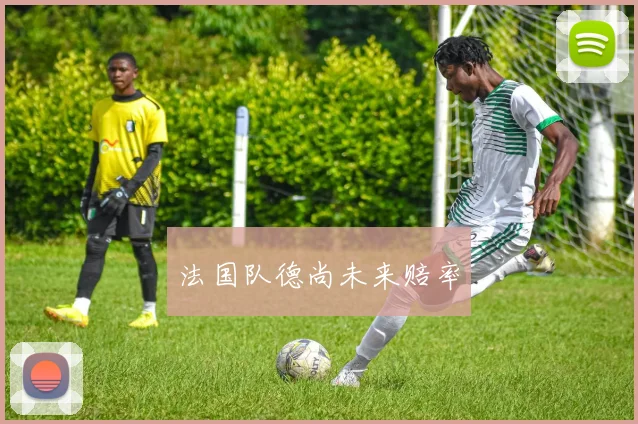法国队德尚未来赔率