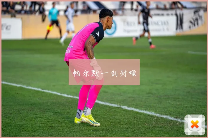 帕尔默一剑封喉