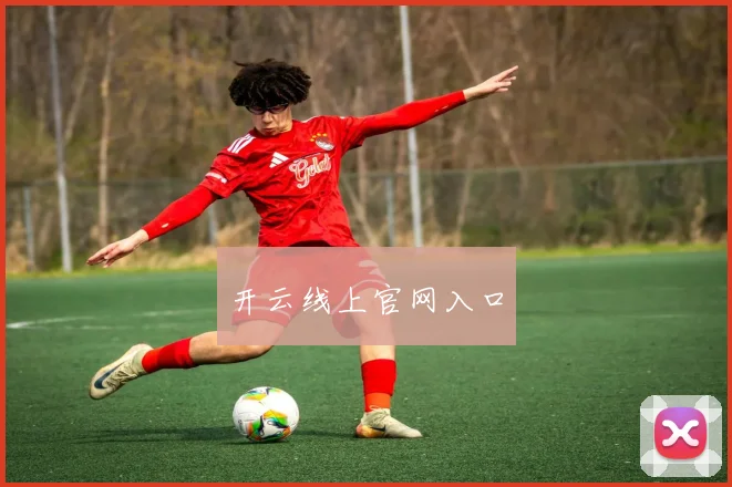 开云线上官网入口