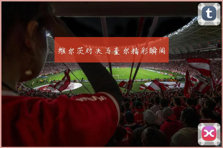 维尔茨对决马奎尔精彩瞬间