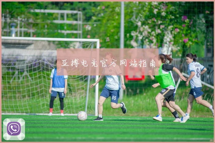 亚搏电竞官方网站指南