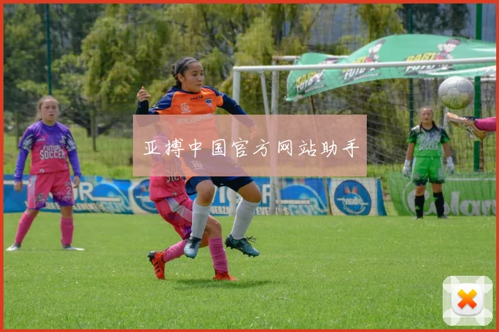 亚搏中国官方网站助手