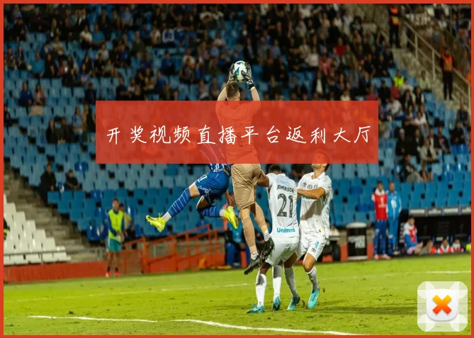 开奖视频直播平台返利大厅