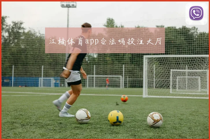 江楠体育app合法吗投注大厅