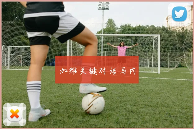 加维关键对话马内