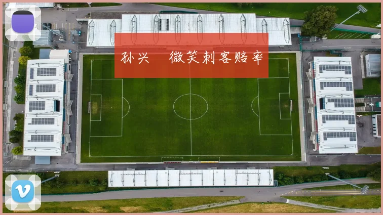 孙兴慜微笑刺客赔率