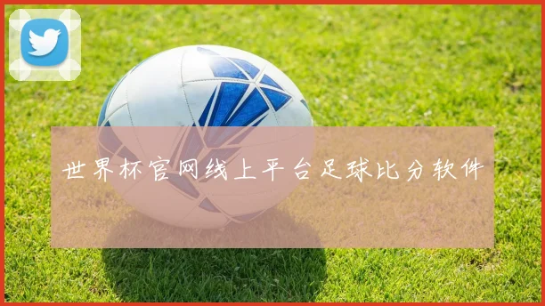 世界杯官网线上平台足球比分软件