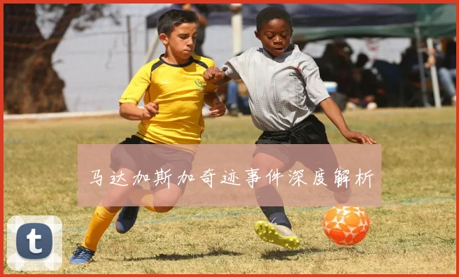 马达加斯加奇迹事件深度解析