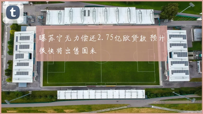 曝苏宁无力偿还2.75亿欧贷款 预计很快将出售国米