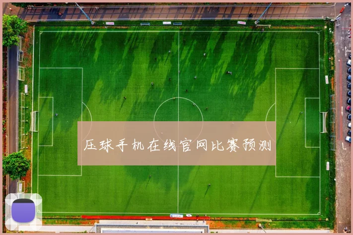 压球手机在线官网比赛预测