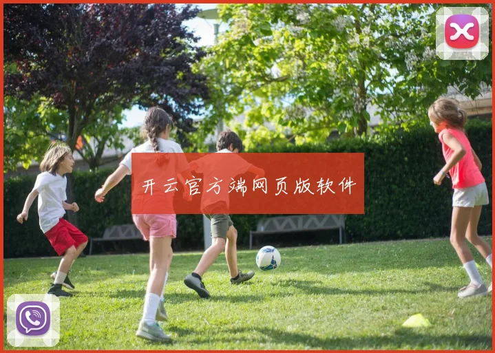 开云官方端网页版软件