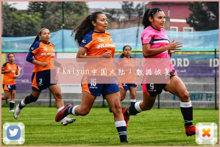 「Kaiyun中国大陆」数据恢复