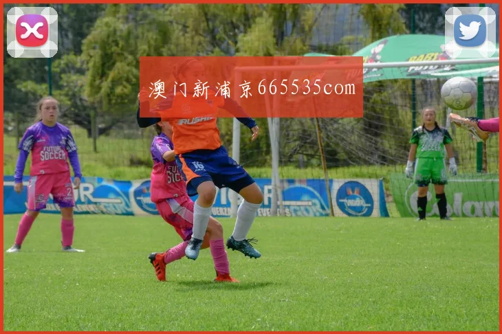 澳门新浦京665535com