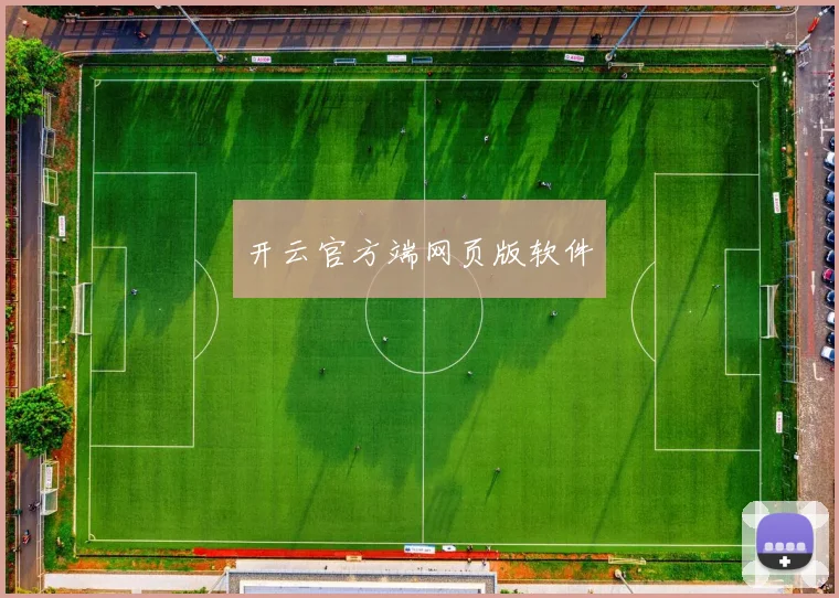 开云官方端网页版软件