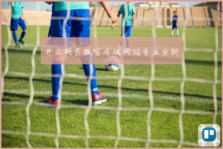 开云网页版官方端网站专业分析