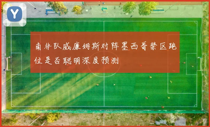 南非队威廉姆斯对阵墨西哥禁区跑位是否聪明深度预测