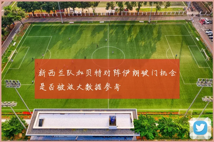新西兰队加贝特对阵伊朗破门机会是否被放大数据参考