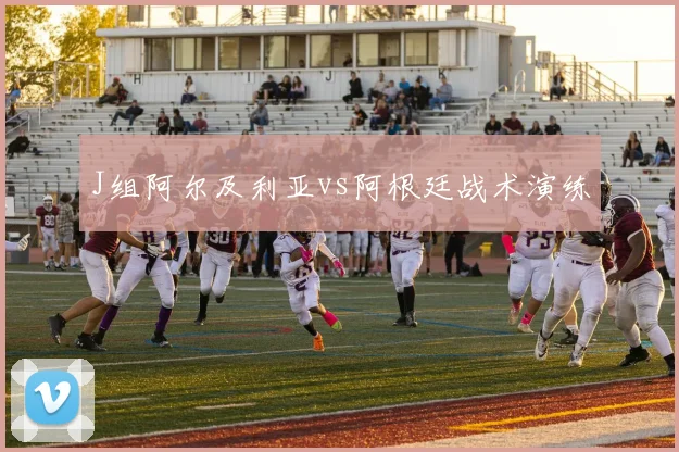 J组阿尔及利亚vs阿根廷战术演练